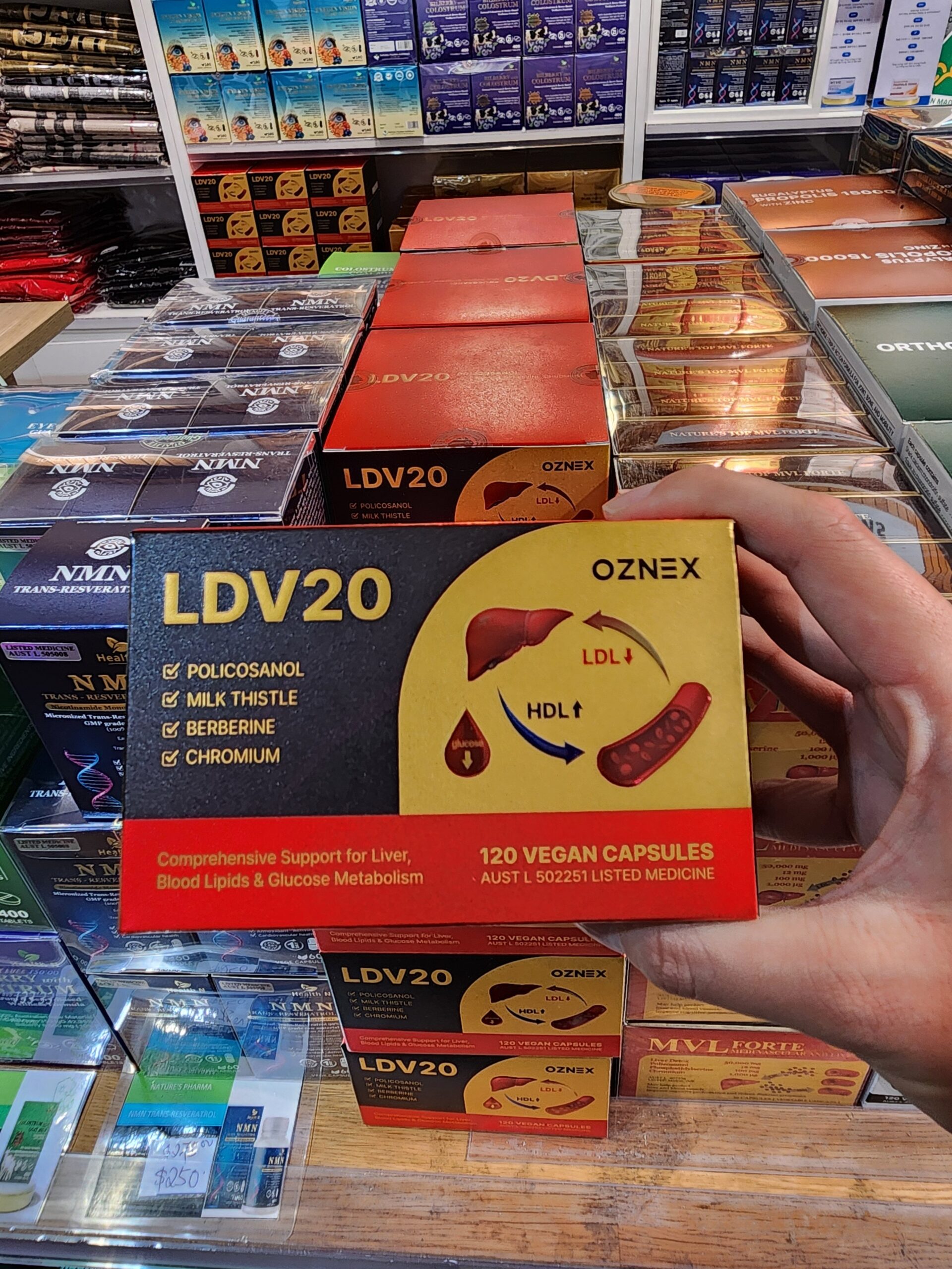 LDV20 부모님 선물