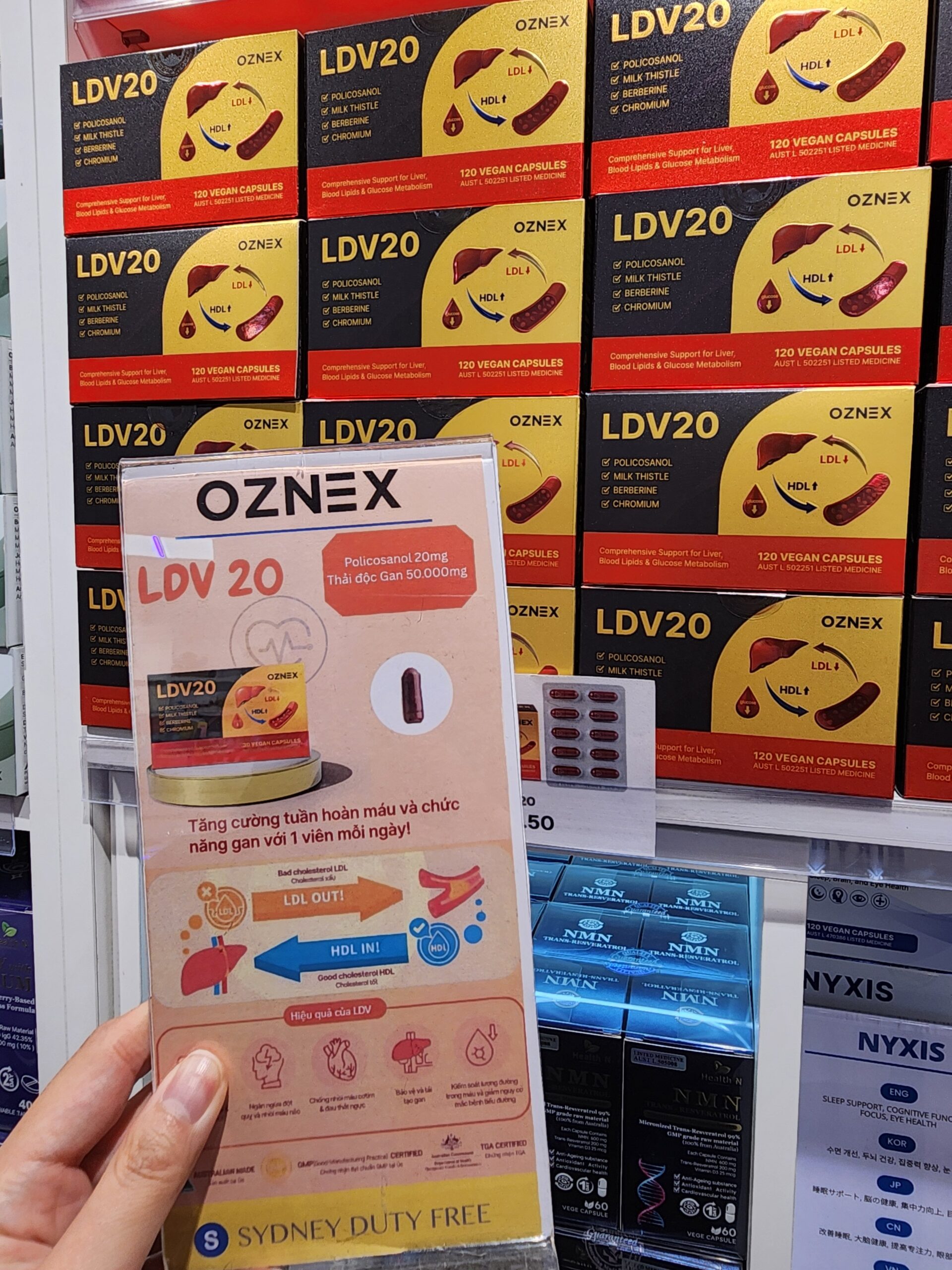 LDV20 부모님 선물